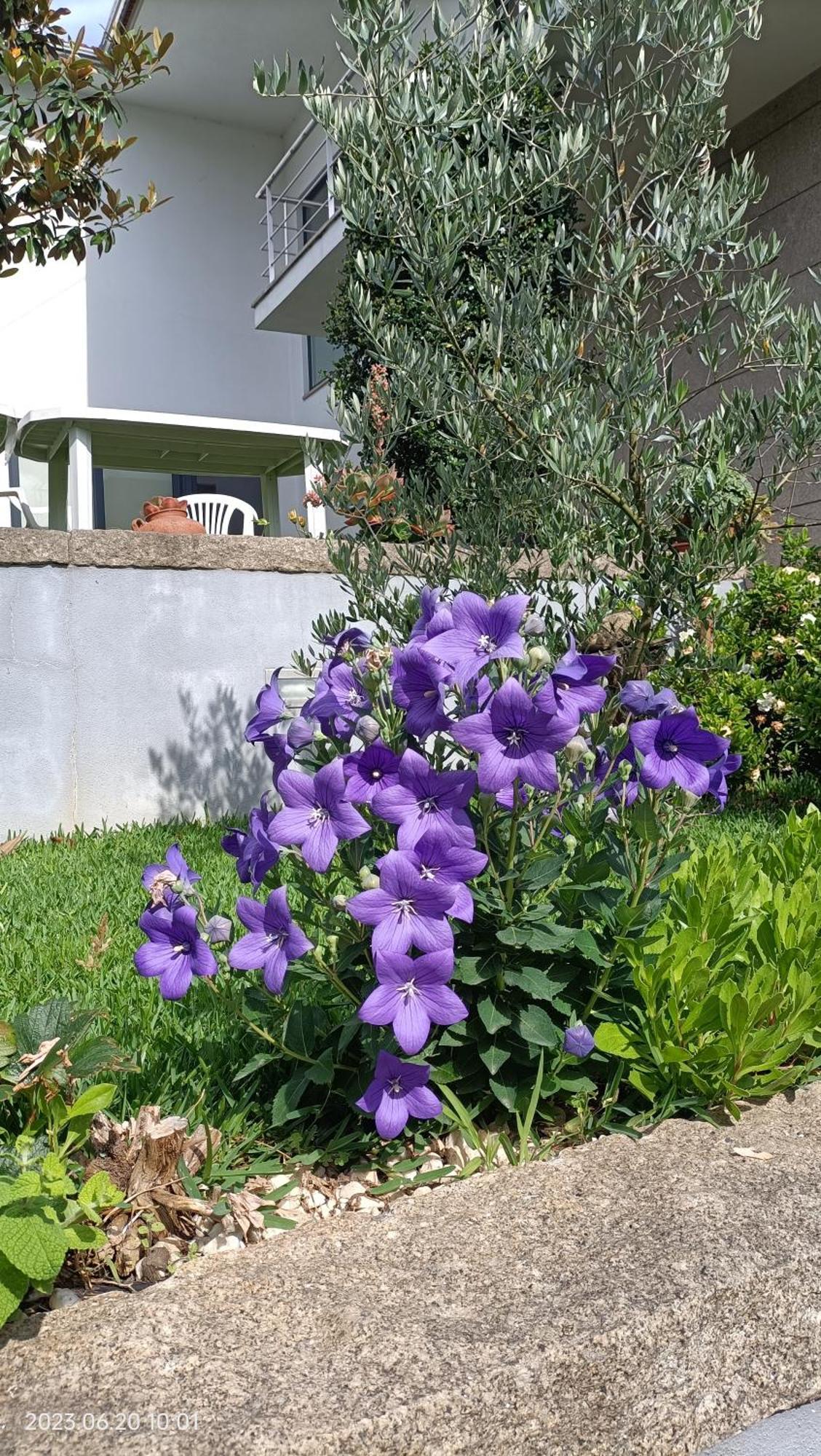 Areias Village Vale de Cambra Buitenkant foto